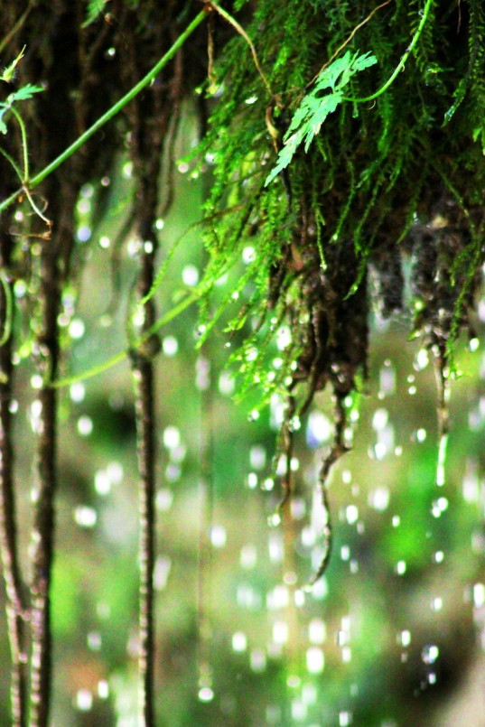 Giuliano Fornaro 2.jpeg