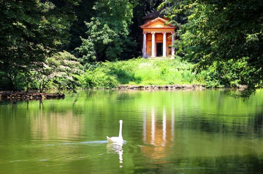 Giuliano Fornaro 3.jpeg